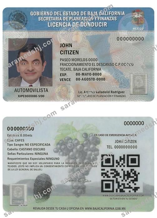 Mexico Baja California driving license